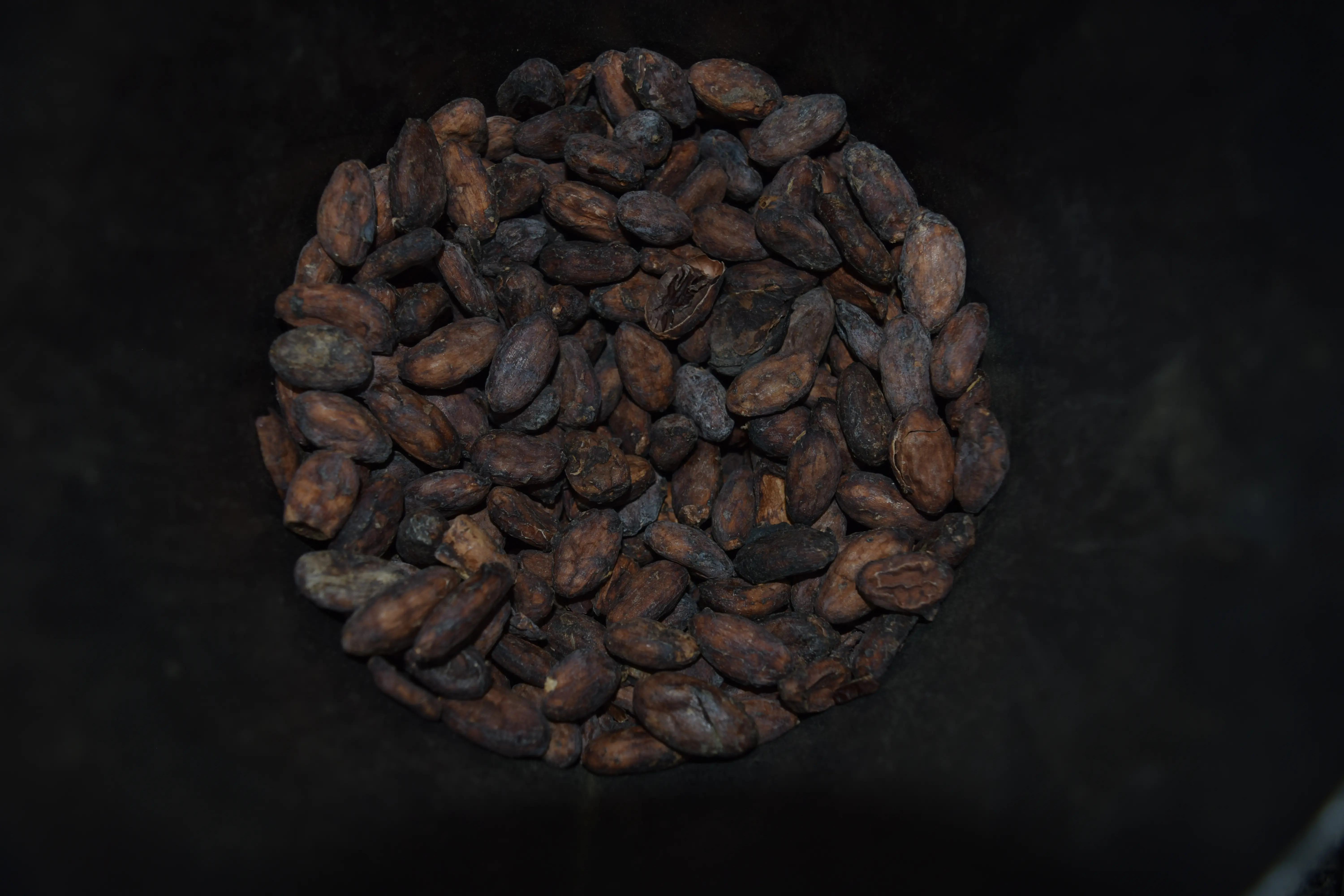 Cacao beans 4